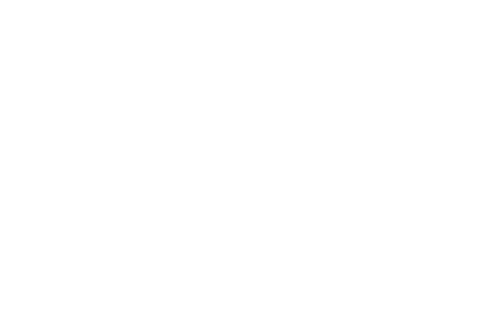 Visit Florida