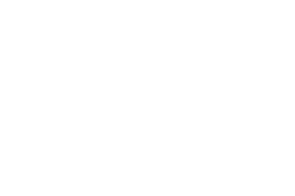 Turkish Airlines