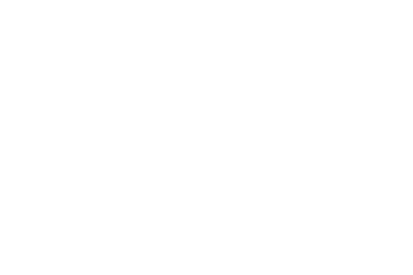 Intrepid